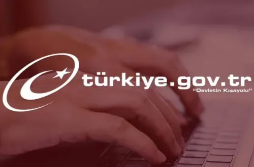 E-devlette yeni dönem! Herkes bu hizmete akın ediyor