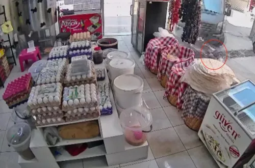 Kamyonetin altında kalan 4 yaşındaki çocuk böyle çıktı!