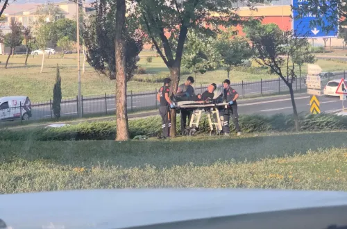 İnegöl'de ağaçlık alanda yaralı olarak bulundu!