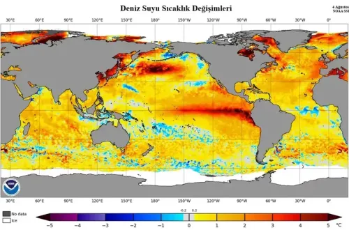 Büyük Okyanus'ta başlayan tehlike Türkiye'ye geliyor!