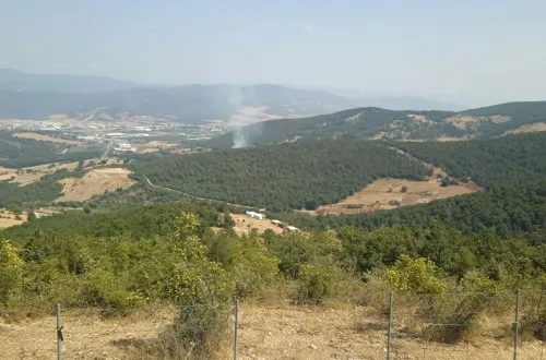 Ümitalan'da Orman Yangını! Ekipler Bölgeye Sevk Edildi