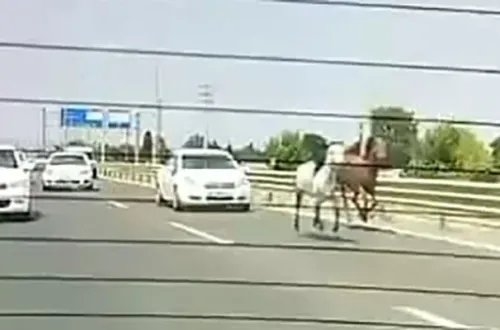 İnegöl'de trafiği birbirine kattılar!