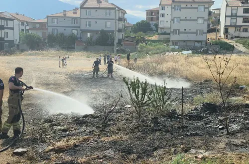 İnegöl'de ayçiçek tarlası son anda kurtuldu