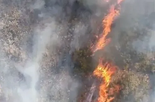 Bursa’da yangın ormana sıçradı! Uçak ve helikopterler havalandı