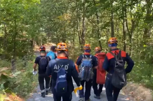 Uludağ eteklerinde ayağı kırıldı, mahsur kaldı!