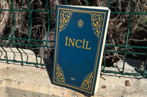 İnegöl'de Kültürpark'ta görüldü! Gören bir daha baktı