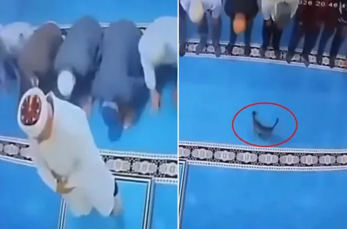 Cemaatin tekme attığı kedi imamın başına düştü!