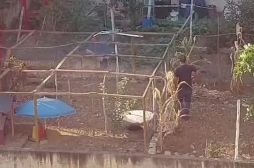 İnegöl’de Köpeğe Sopalı Saldırı Kamerada!
