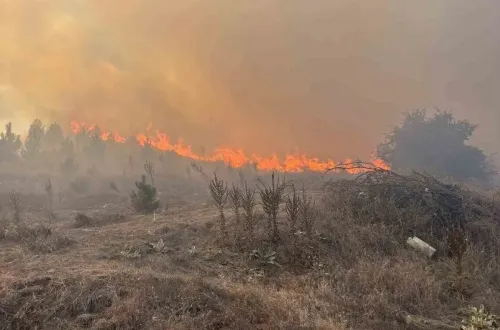 İnegöl'ün dibinde başlayan orman yangını her geçen saat büyüyor