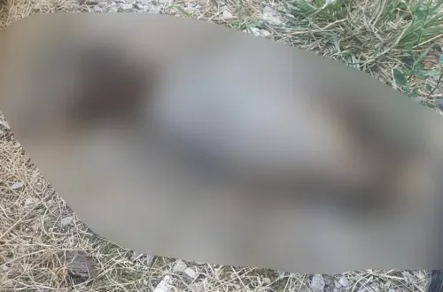 İnegöl’de Dehşete Düşüren Olay! Bahçede Bulundu
