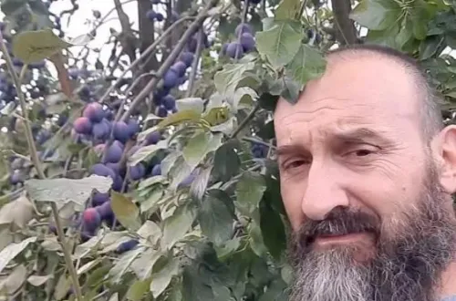 İnegöl’de tonlarca erik elinde kalacaktı! Bulduğu çözüm viral oldu