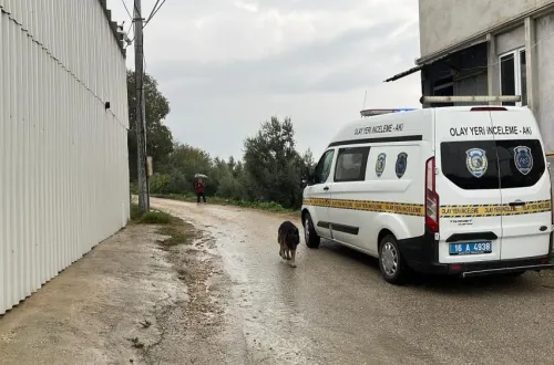 Bursa'da ATV ile tarlaya uçtu! Durumu ağır