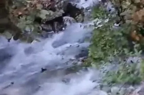 İnegöl'de Yılda Birkaç Kez Oluyor! Yine Aynı Manzara