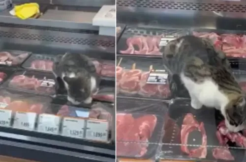 Ünlü markette olay yaratan görüntü!