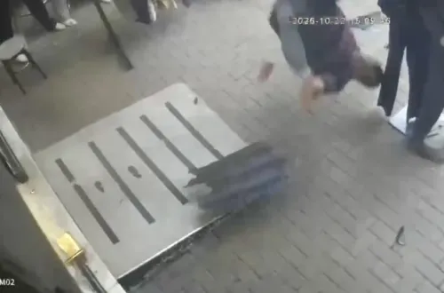 Yavru Kediyi Kurtarmak İsterken Canından Oldu!