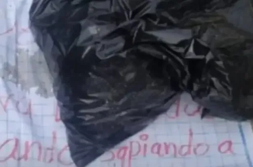 16 Yaşındaki Fenomeninin Kesik Başı Poşette Bulundu!