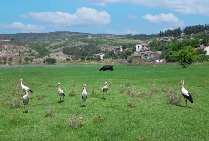 İnegöl’ün kuzey girişinde yeni yaşam alanı geliyor!