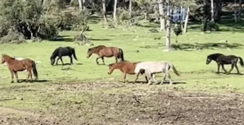 Daha önce hiç bu manzarayı görmediniz!