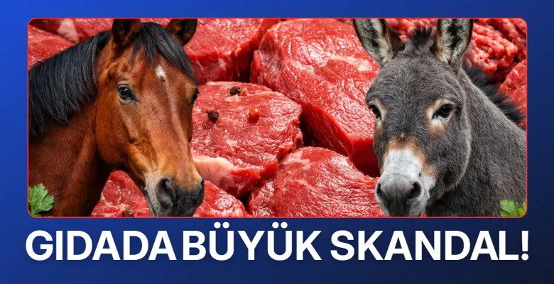 Gıdada büyük skandal! 9 firmanın ürünlerinde at ve eşek eti