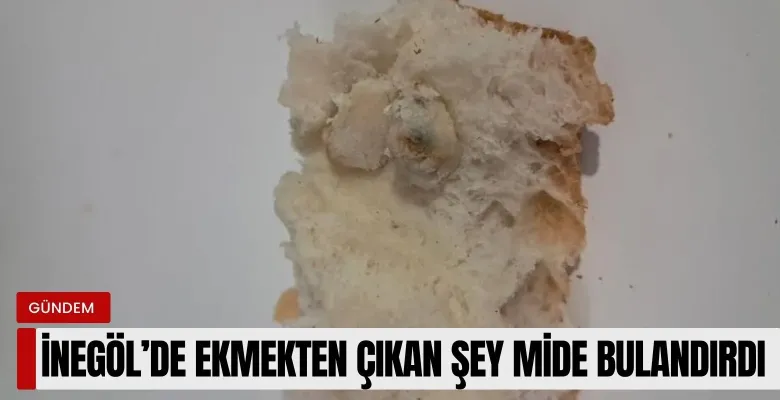 İnegöl'de ekmeğin içinden çıkan şey mide bulandırdı!