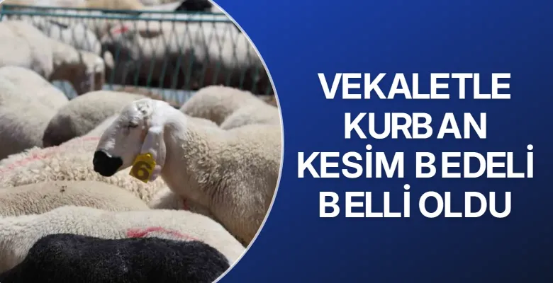 Vekaletle kurban kesim bedeli belli oldu