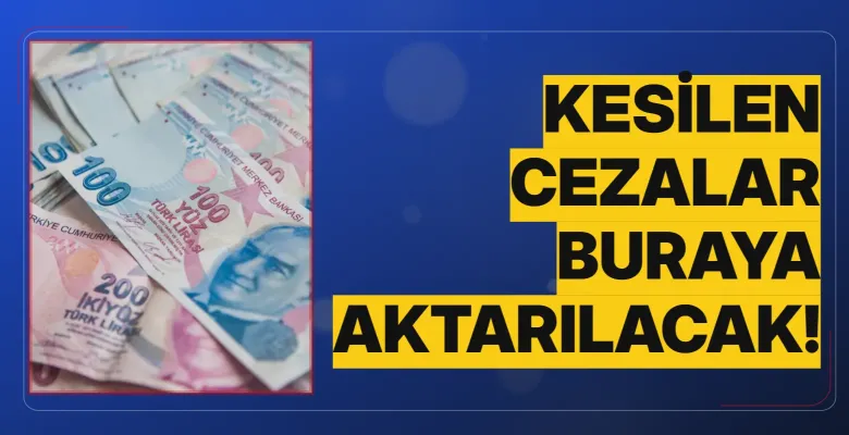 Kesilen cezalar buraya aktarılacak!