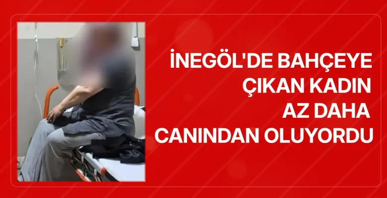 İnegöl'de bahçeye çıkan kadın az daha canından oluyordu