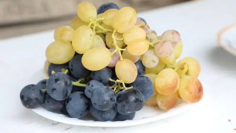 İnegöl'de üzüm hasadı artık daha hızlı!