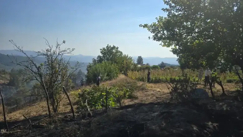 Piknik faciaya dönüşüyordu! Helikopterle önlendi