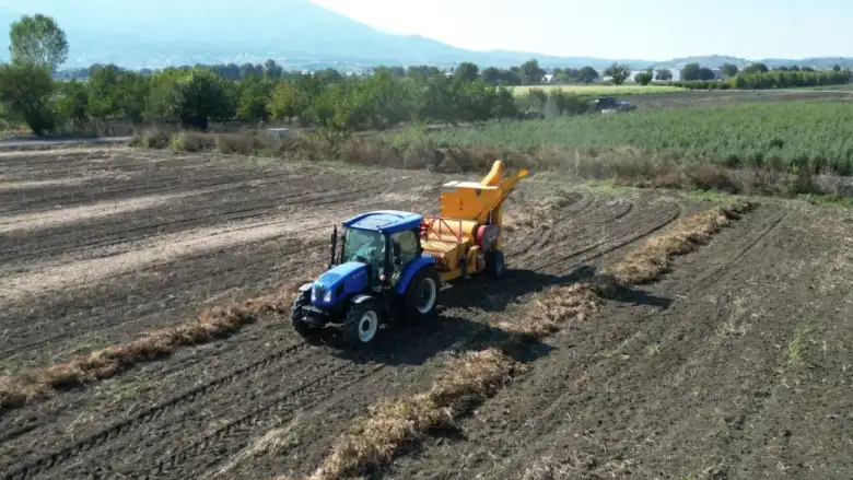 İnegöl'ün tescilli kuru fasulyesinde hasat başladı: Belediyeden ücretsiz destek