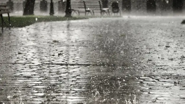 8 Ekim Bilecik Hava Durumu: Sağanak Yağış Etkili Olacak