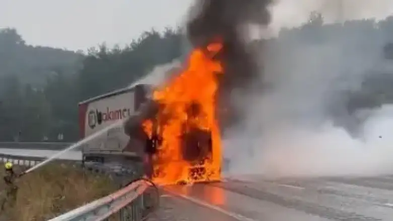 Seyir halindeki tır alev topuna döndü