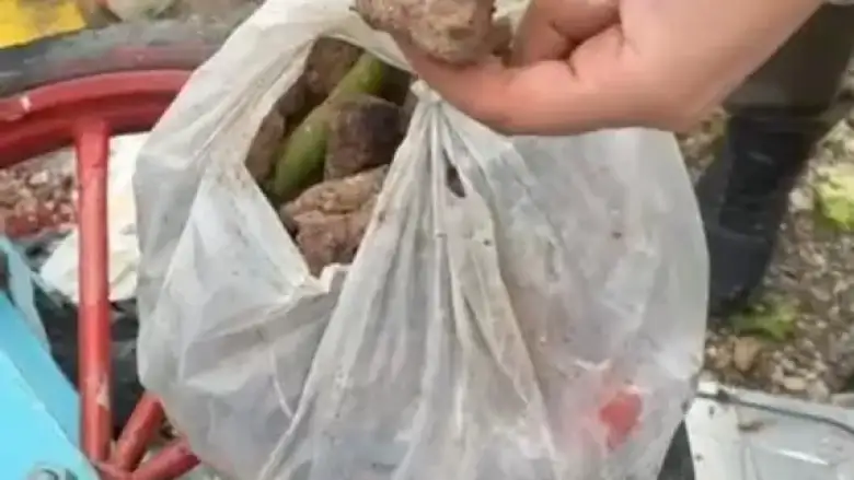 Bursaspor maçında bozuk köfte skandalı! Faciadan dönüldü