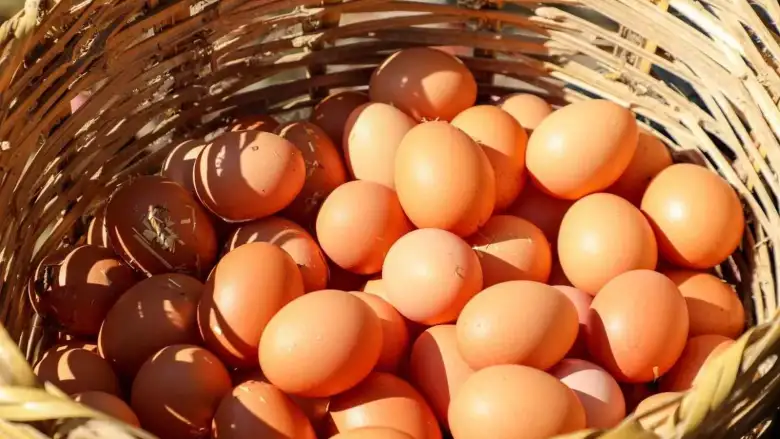 Protein dengesi değişiyor! Üretim tavuk etinde artarken yumurtada düşüyor