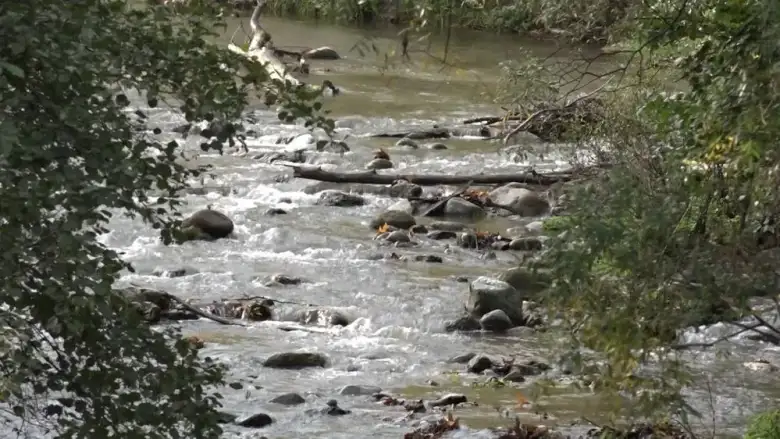 Kuruyan dereler yağmurla tekrar hayat buldu