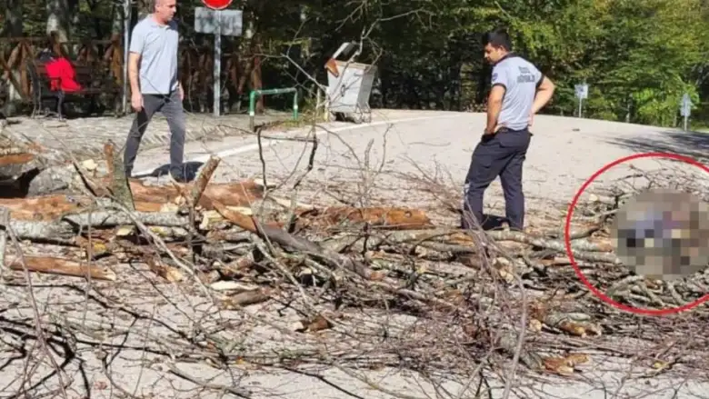 Üzerine ağaç devrilen belediye işçisi öldü!