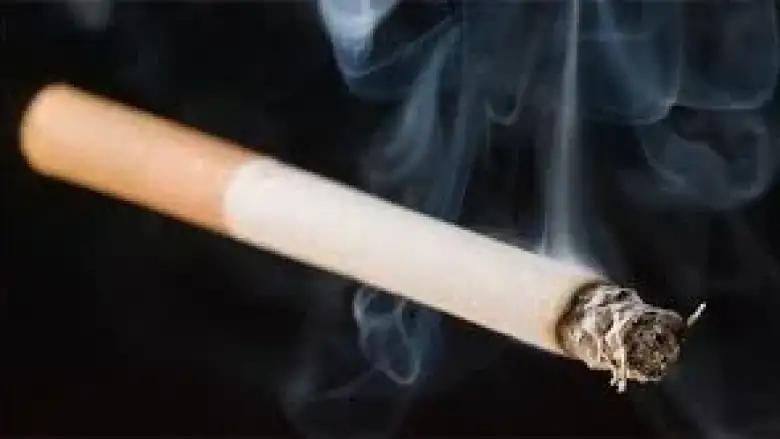 Her yıl can almaya devam ediyor!