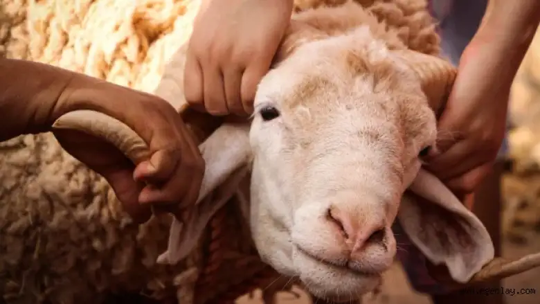 Kurban Bayramı 2026 ne zaman, hangi güne denk geliyor?