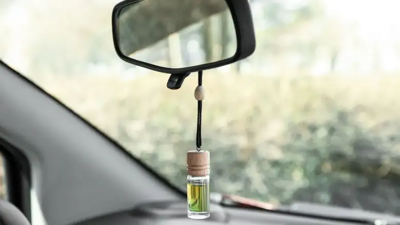 Oto kokusu ceza sebebi mi? İşte merak edilen detaylar