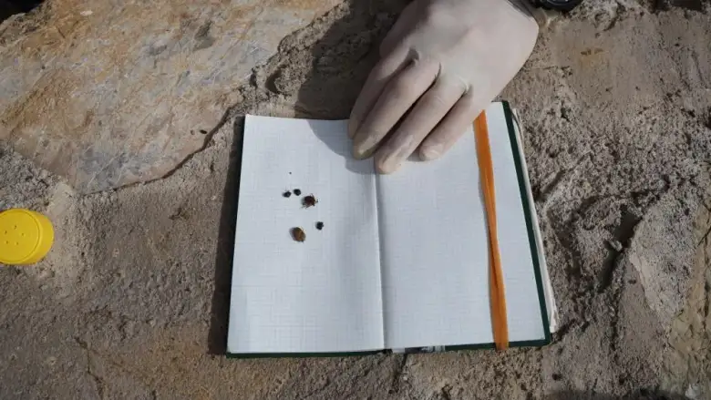 Tehlike kapıda! Uzmanından uyarı geldi