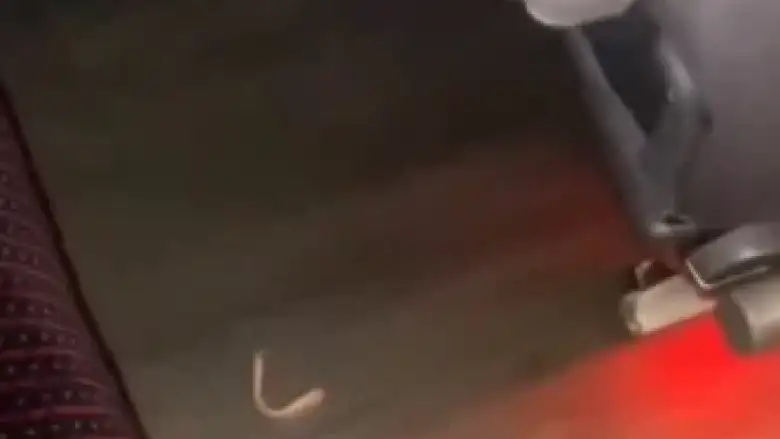 Otobüste takma diş arayışı kahkahaya boğdu