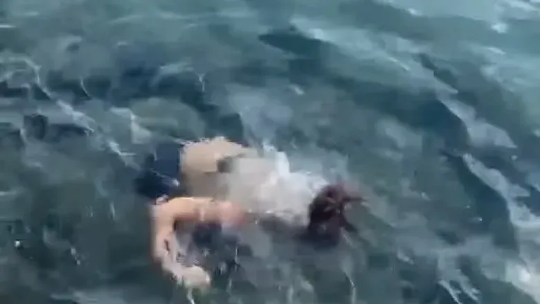 Yasemin Yürük'ün talihsiz kazası: Denize düşürdü!