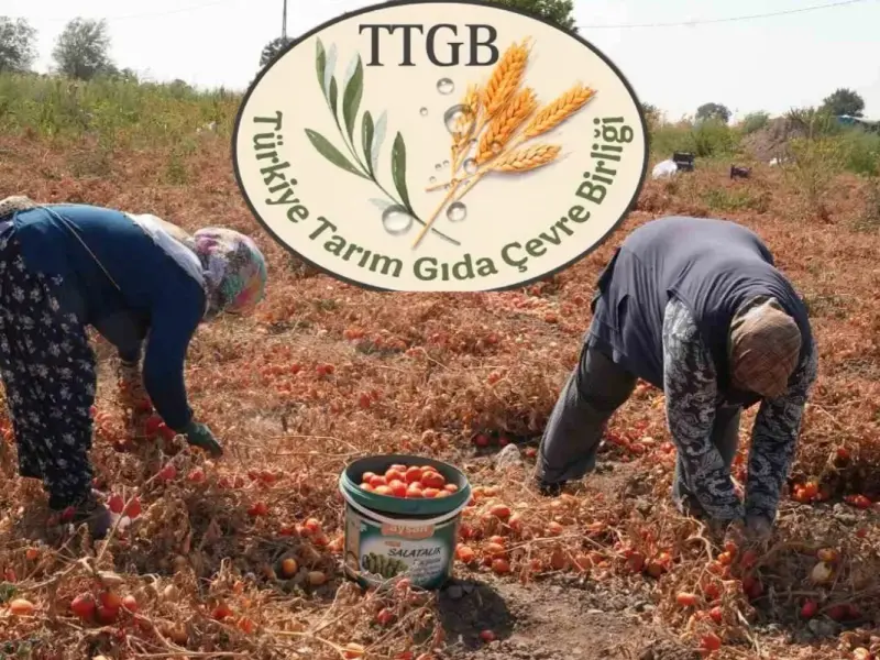 Tarım sektöründe büyük birleşme! TTGB resmen kuruldu