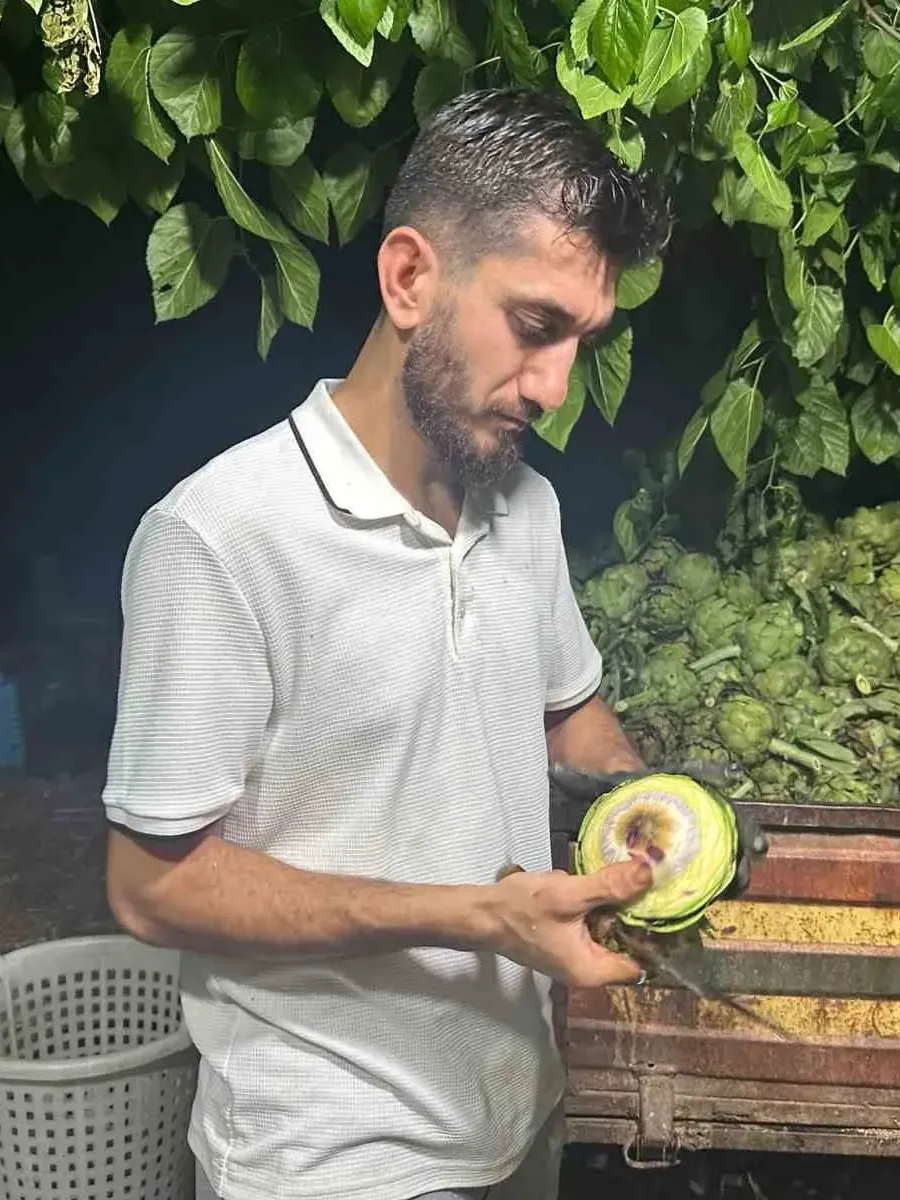 Ailecek enginar soyucular: Soyması 10 saniye sürüyor
