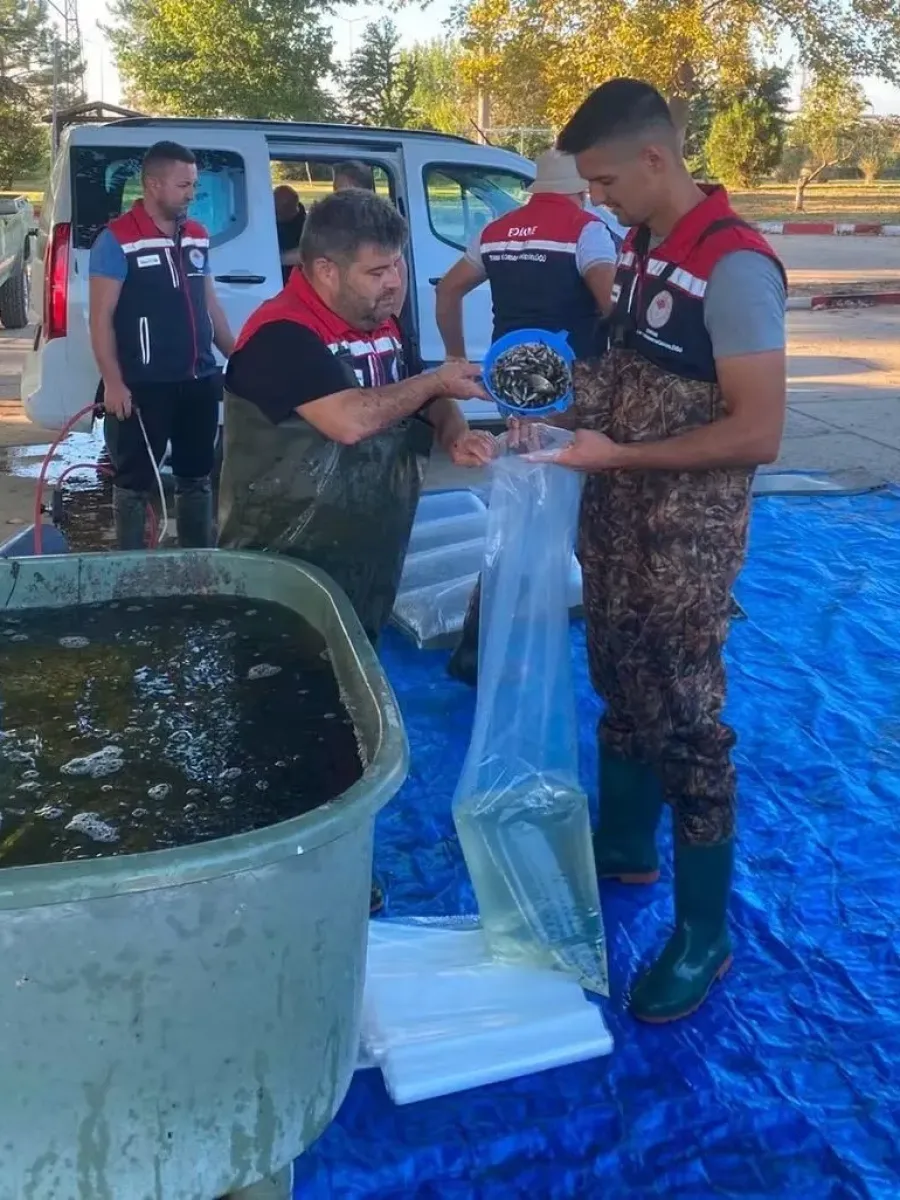 İpsala’da üretilen 2 milyon 324 bin 500 yavru sazan bölge sularıyla buluşuyor