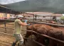 İnegöl'de salgın önlemi