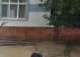 Su krizinin ortasında yağmur yetmedi hortumla halı yıkadı
