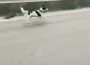 Terkedilen köpek yağmura rağmen sahibinin peşinden koştu