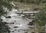 Kuruyan dereler yağmurla tekrar hayat buldu