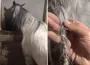 Ahıra girdiğinde gördüğü manzarayla şok oldu